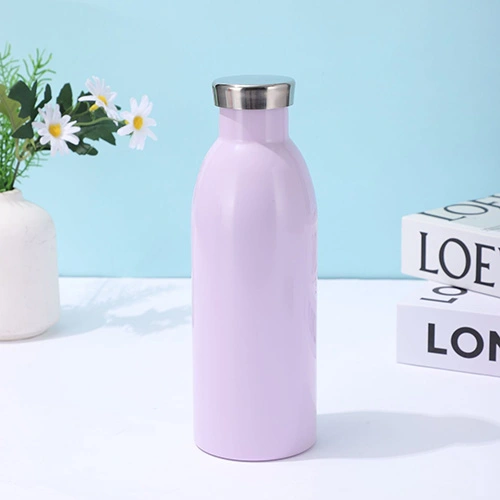 Hydrotion Flask