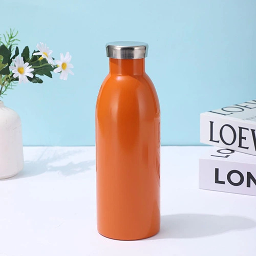 Hydrotion Flask